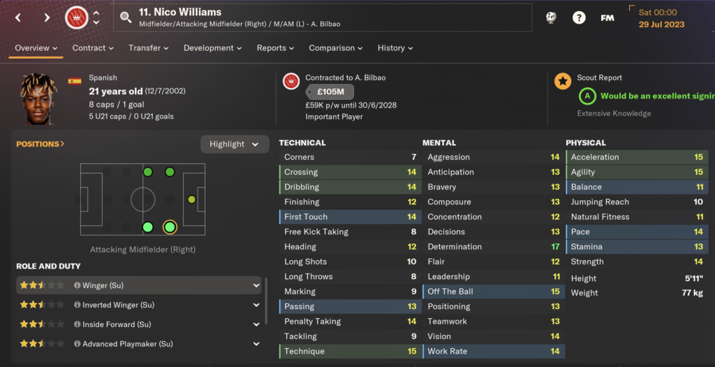 nico williams